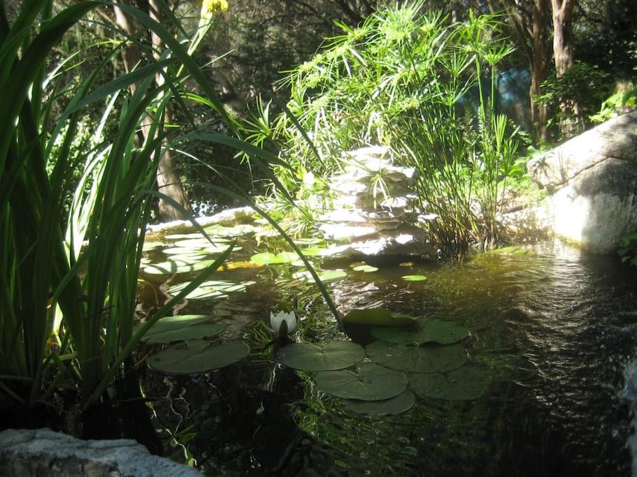 La Rocalla Del Tietar Villa ซอติโญ เดลา อดราดา ภายนอก รูปภาพ
