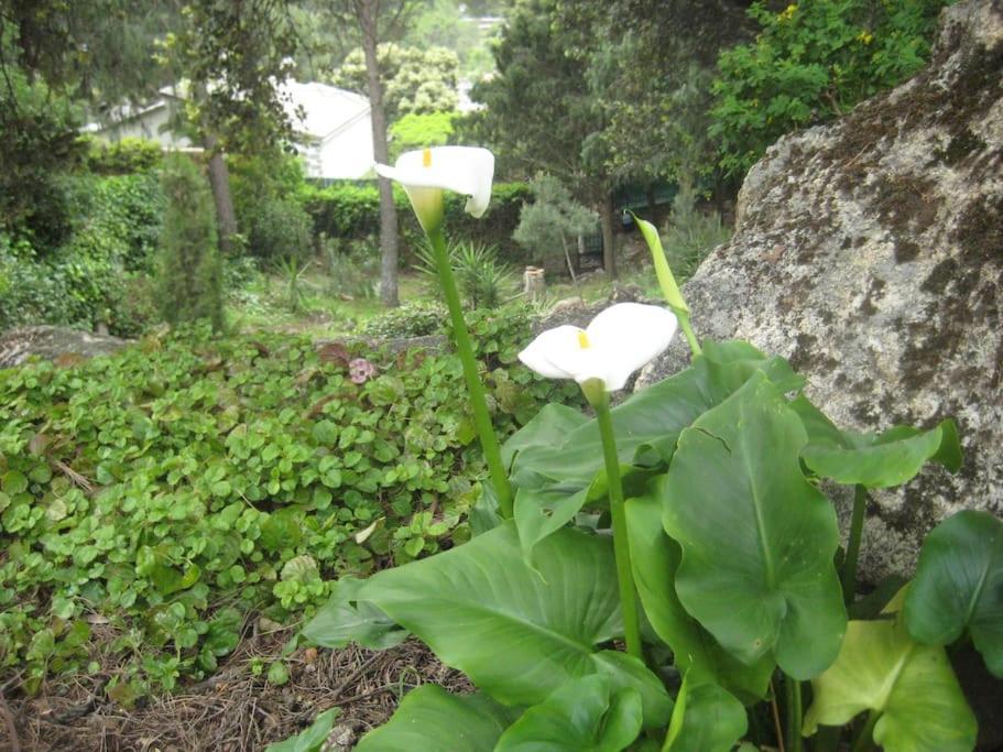 La Rocalla Del Tietar Villa ซอติโญ เดลา อดราดา ภายนอก รูปภาพ