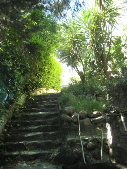 La Rocalla Del Tietar Villa ซอติโญ เดลา อดราดา ภายนอก รูปภาพ